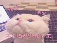 宿迁市光旭商贸有限公司