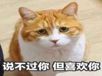 宿迁市光旭商贸有限公司