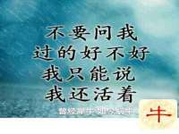 宿迁市光旭商贸有限公司