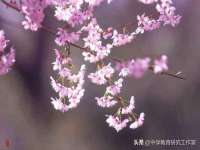 宿迁市光旭商贸有限公司