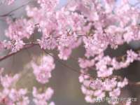 宿迁市光旭商贸有限公司