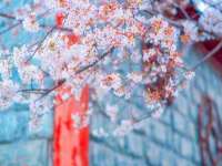 宿迁市光旭商贸有限公司