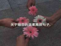 宿迁市光旭商贸有限公司