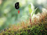 宿迁市光旭商贸有限公司