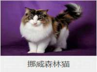 宿迁市光旭商贸有限公司