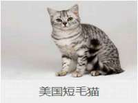宿迁市光旭商贸有限公司