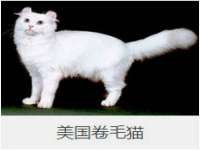 宿迁市光旭商贸有限公司