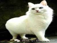宿迁市光旭商贸有限公司
