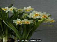 宿迁市光旭商贸有限公司