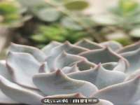宿迁市光旭商贸有限公司