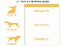 宿迁市光旭商贸有限公司