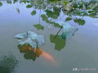宿迁市光旭商贸有限公司