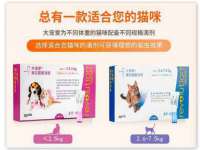 宿迁市光旭商贸有限公司