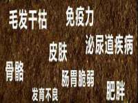 宿迁市光旭商贸有限公司