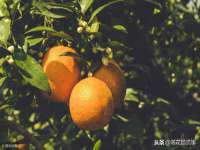宿迁市光旭商贸有限公司