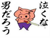 宿迁市光旭商贸有限公司