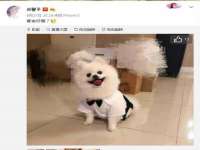 宿迁市光旭商贸有限公司