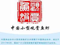 宿迁市光旭商贸有限公司