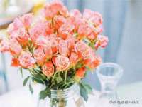 宿迁市光旭商贸有限公司